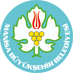 Manisa Merkez Taksi - Manisa merkez taksi hizmeti